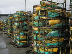 Crab traps at Half Moon Bay