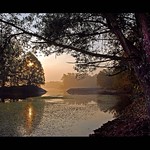 Alba a Ticino (Explore)