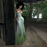 DNR Satin Shine Photo Contest 2009 - Pic 3