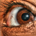 F.E.A.R ............... @_@