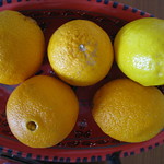 Oranges and Lemons ...