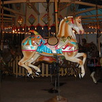 A horse without a tail?