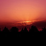 Buenos d&iacute;as leperos