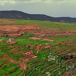 Agriculture in Toukbal National park, Morocco - March 2009