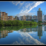 Early morning on Ross Creek..