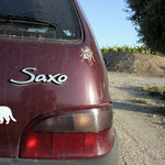 "lava er coche, marrana!"