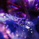 Thoughts have power; thoughts are energy. And you can make your world or break it by your own thinking.