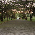 Pasir Ris Park 2