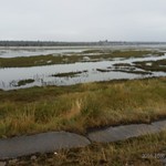 Canvey Island North Side