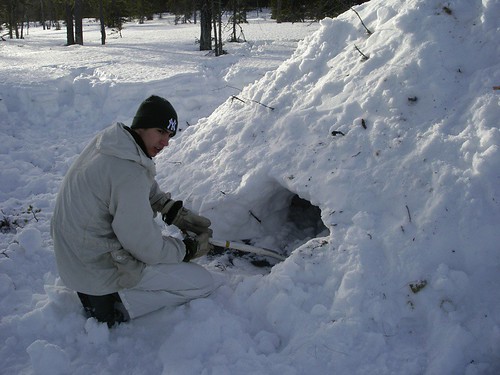 Michi empezando a cavar la puerta