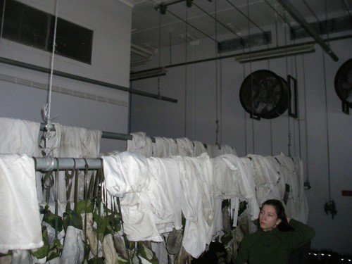 Una de las naves de secado