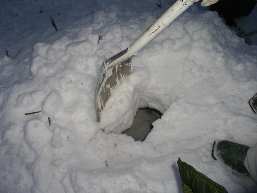 Destruyendo el iglú