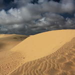 White Sand Dunes of Mũi N&eacute;