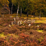 Ale's Stones (Sweden) 2009