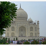 The Taj 3 ...