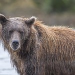 The Stare ... I Think I Won!