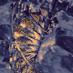 Hey! You! Get off of my cloud