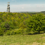 Clipstone Head Stocks