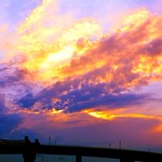 Smiled With The Rising Sun