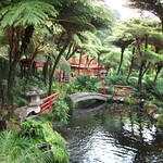 Madeira - Monte Palace Tropical Garden (4)