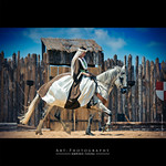 The Princess and her white horse | NIKON D3s