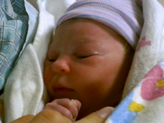 Nora, the whole world: the whole world, Nora.