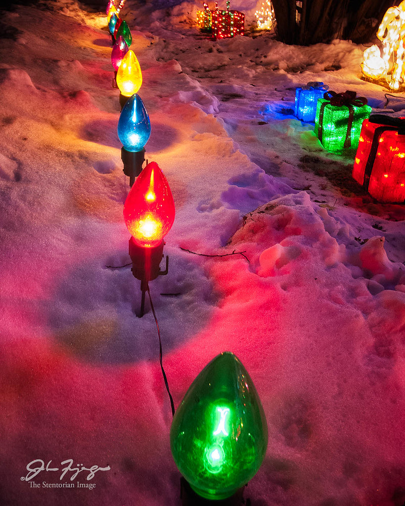 Quiver Point Christmas Lights Christmas Light The Stentorian Image