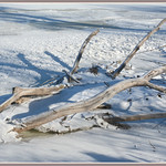 \\\ Winter River Driftwood - II. ///