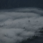 Fog on the Barrow Downs