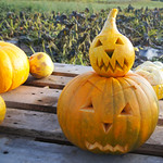Carved Pumpkins