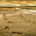 Walking on the beach