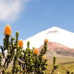 cotopaxi
