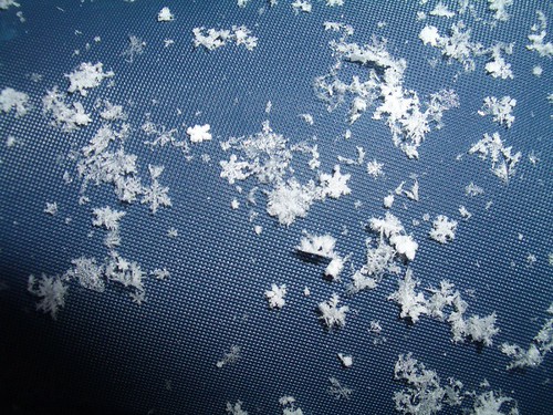 Varios copos sobre el sillín de mi bici