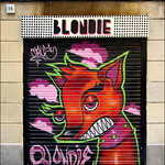 Blondie