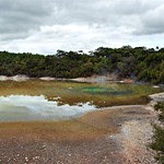 Champagne pools
