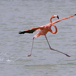 Happy New Year....2010