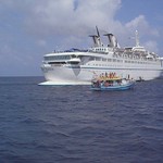 let's dance - come balla la regina