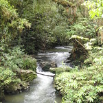 Waitomo Caves Hike 2