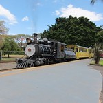 Sugar Cane Train