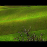 Perfect..like a golf field [Explore]