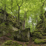 where the elves dancing