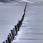 Winter's Stark Beauty