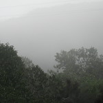 Mount Soledad in the Fog