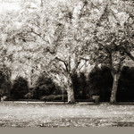 IMG_0221-Edit-Edit-2-Edit