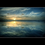 La luz de una noche de verano