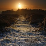 Early morning frost.