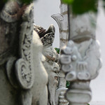 Wat Pho chinese warrior guards