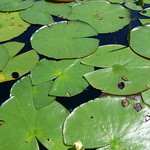 kayaking july 2010 028