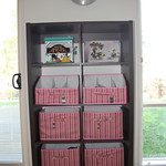 Freedom multistorage unit-3 $250