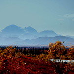 Colors of Alaskan Fall